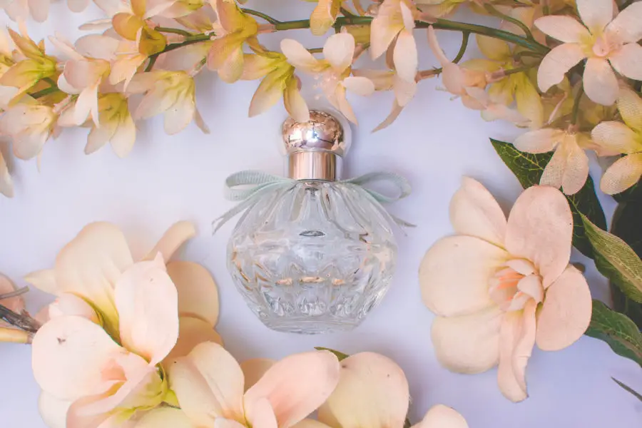 Perfumy lane – najlepsze zapachy w najniższej cenie